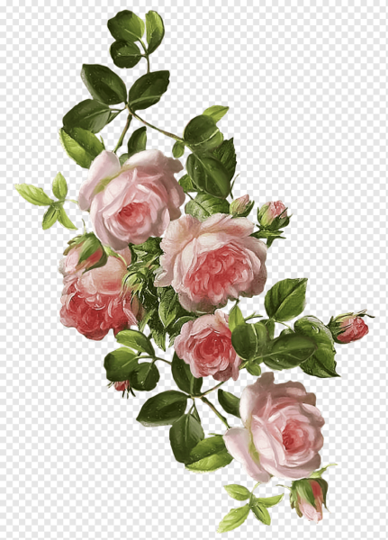 Винтажные цветы на белом фоне