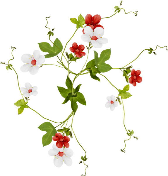 Вьющаяся ветка с цветами