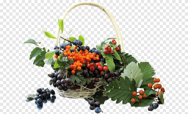 Корзинка с фруктами и ягодами осенняя