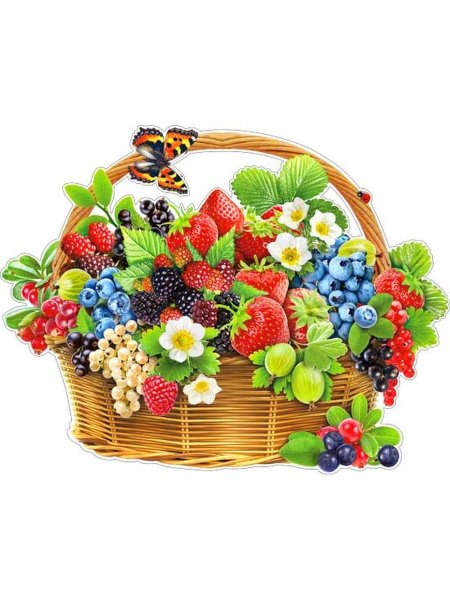 Корзинка с ягодами на белом фоне