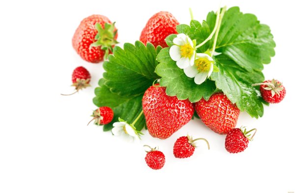Клубника и земляника