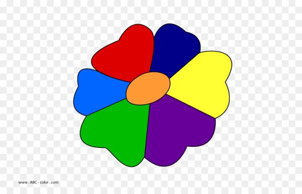 Цветок с разноцветными лепестками