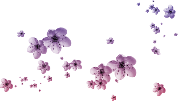 Маленькие цветочки на белом фоне