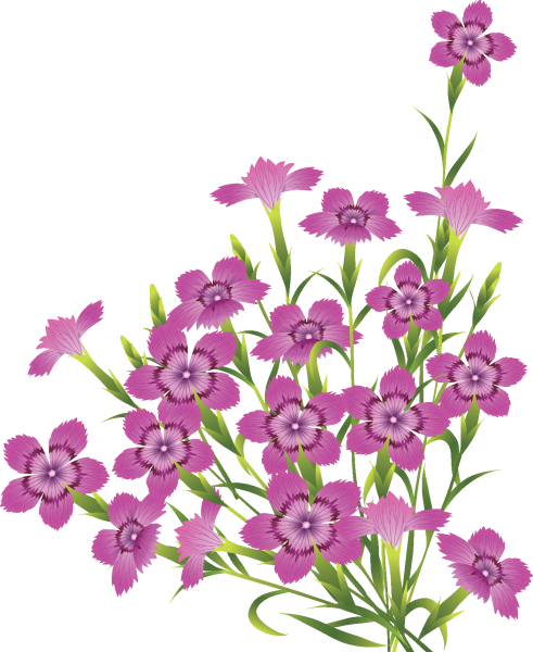 Цветочки на прозрачном фоне