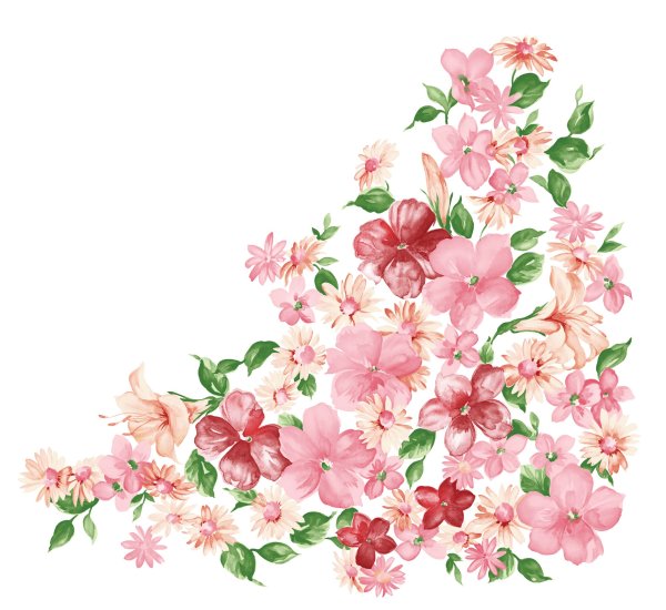 Цветы без фона