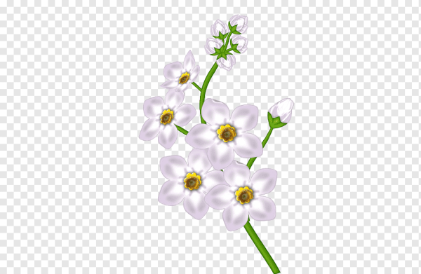 Мелкие цветочки на прозрачном фоне