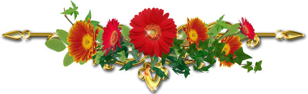 Цветочные разделители на прозрачном фоне