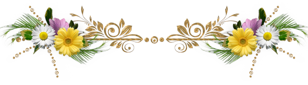 Цветочные бордюры на прозрачном фоне
