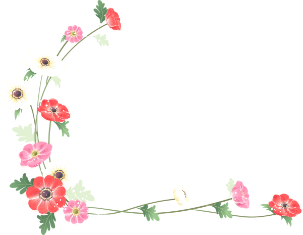 Цветочная рамка на прозрачном фоне