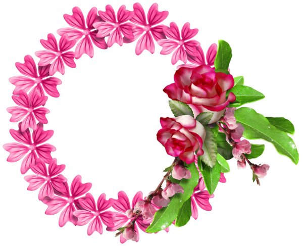 Венки из цветов на прозрачном фоне