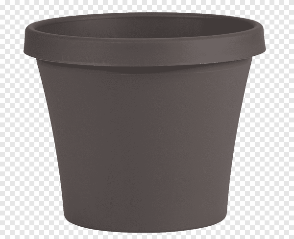 Прозрачный горшок для цветов