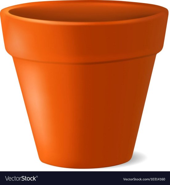 Цветочный горшок с землей