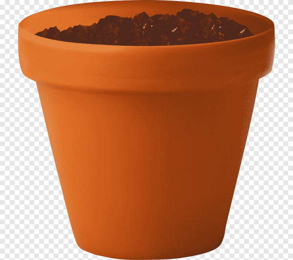 Цветочный горшок с землей