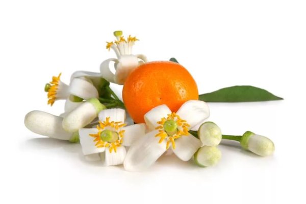 Нероли цветок