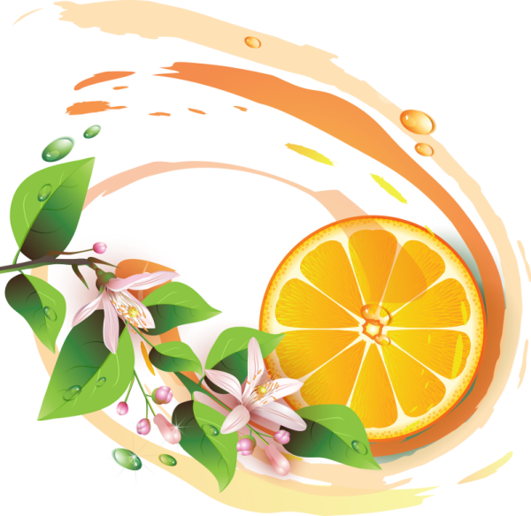 Композиция в круге фрукты