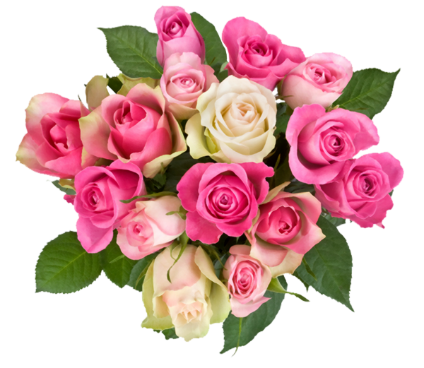 Розовые розы