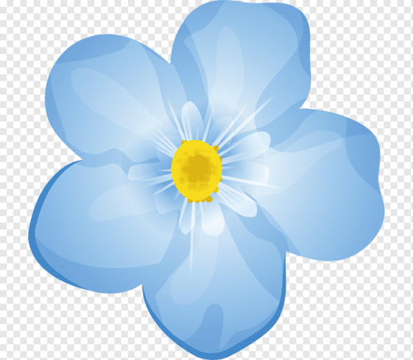 Цветы для детей на прозрачном фоне