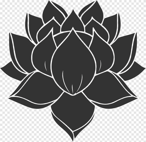 Лотос симметрия