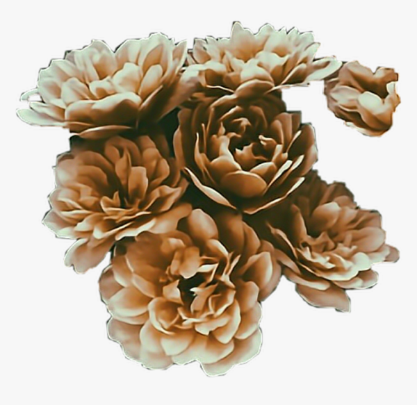 Бежевые цветы Стикеры