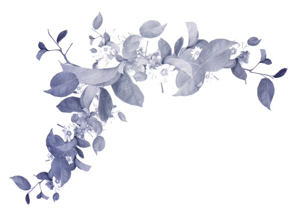 Веточка на прозрачном фоне