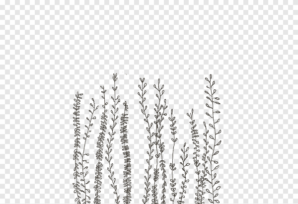 Растения без фона Эстетика