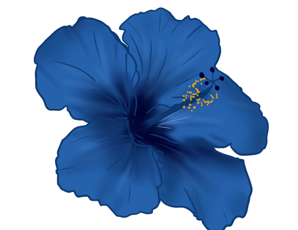 Цветы на прозрачном фоне