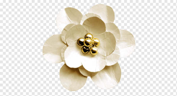 Цветочки обьемныена прозрачном фоне