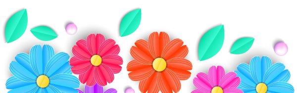 Бумажные цветы на прозрачном фоне