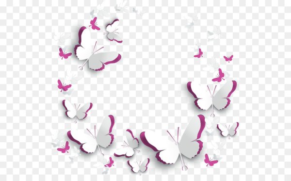 Рамка из бабочек