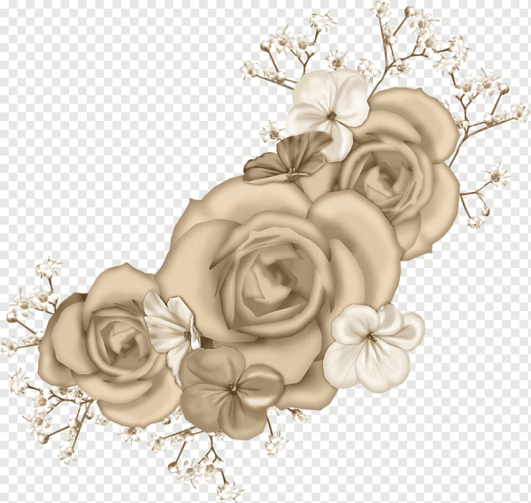 Бежевые цветы на прозрачном фоне