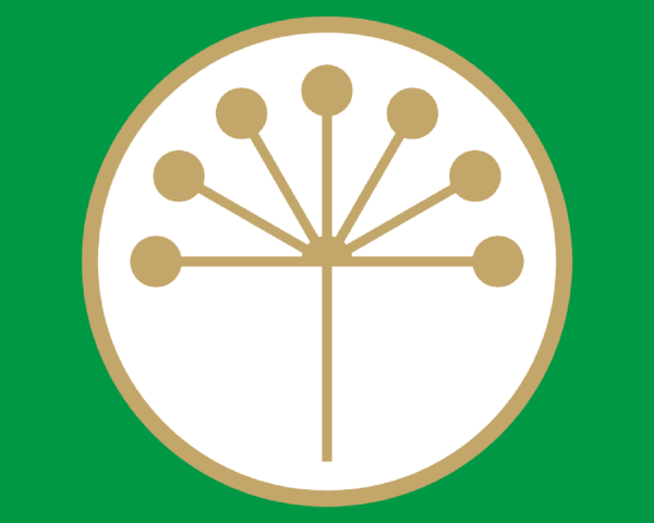 Символ Башкирии цветок курая