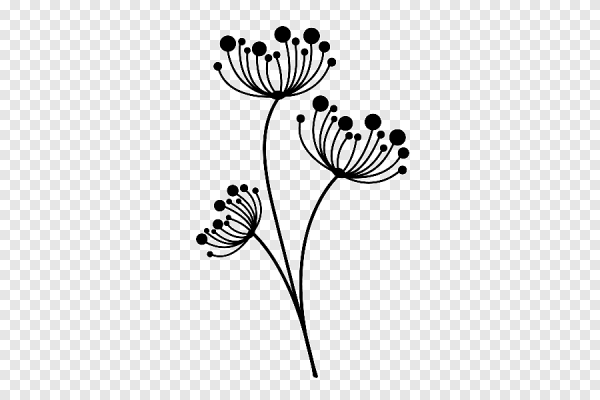 Черно-белый цветок