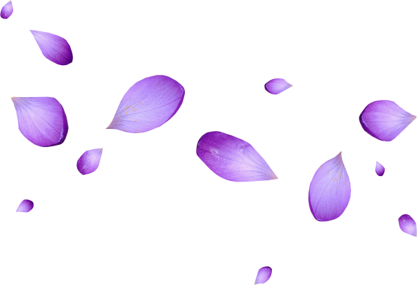 Прозрачные лепестки