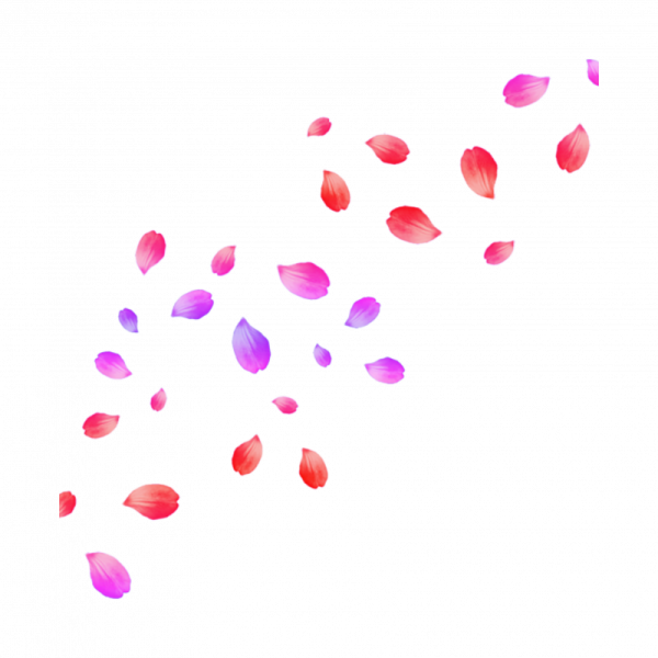 Падающие лепестки цветов