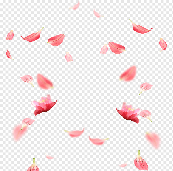 Летающие лепестки