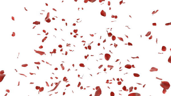 Падающие лепестки