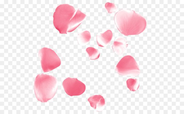 Прозрачные лепестки