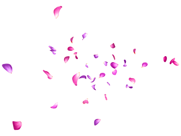 Лепесток Сакуры