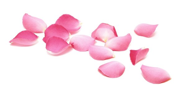 Лепестки роз лежат