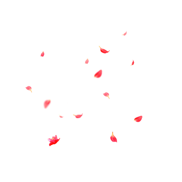 Падающие лепестки