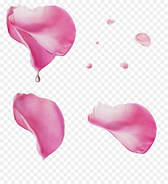 Розовые лепестки