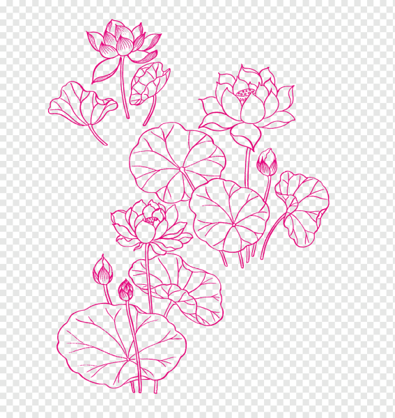 Векторные линии цветы