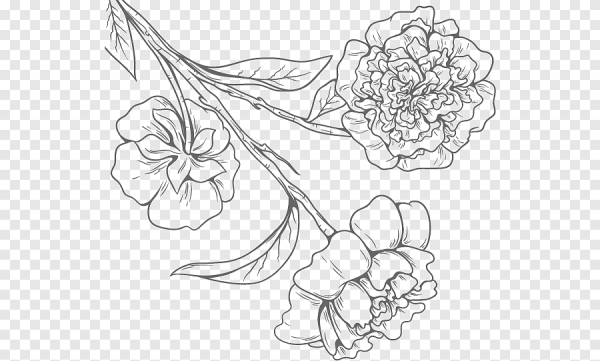 Линейные цветы вектор