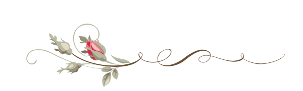 Разделитель текста