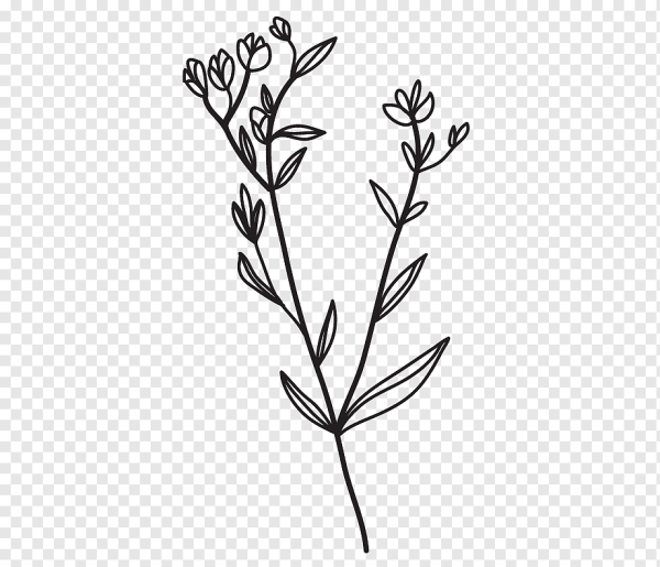 Ветка растения вектор