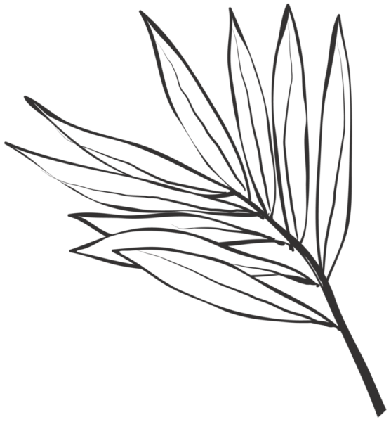 Векторные линия листья