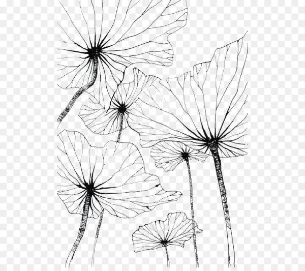 Листья тушью