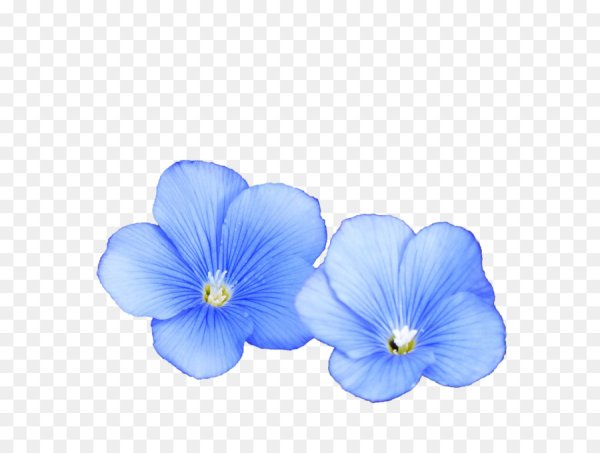 Лен без фона