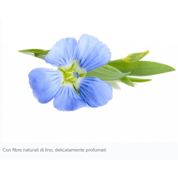 Цветок льна на белом фоне