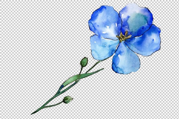 Цветок льна вектор